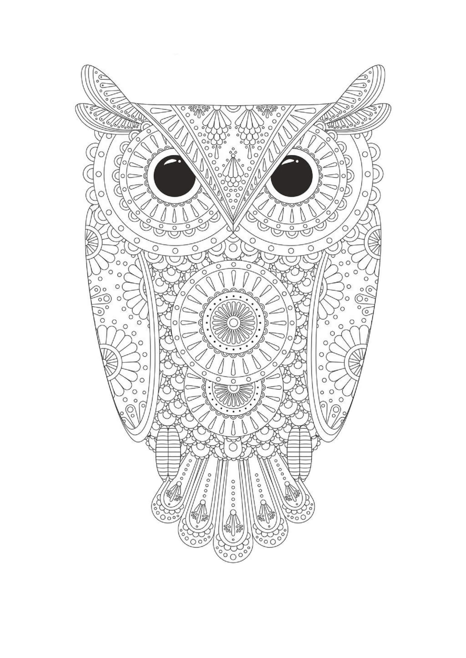 Simple owl mandala coloring page