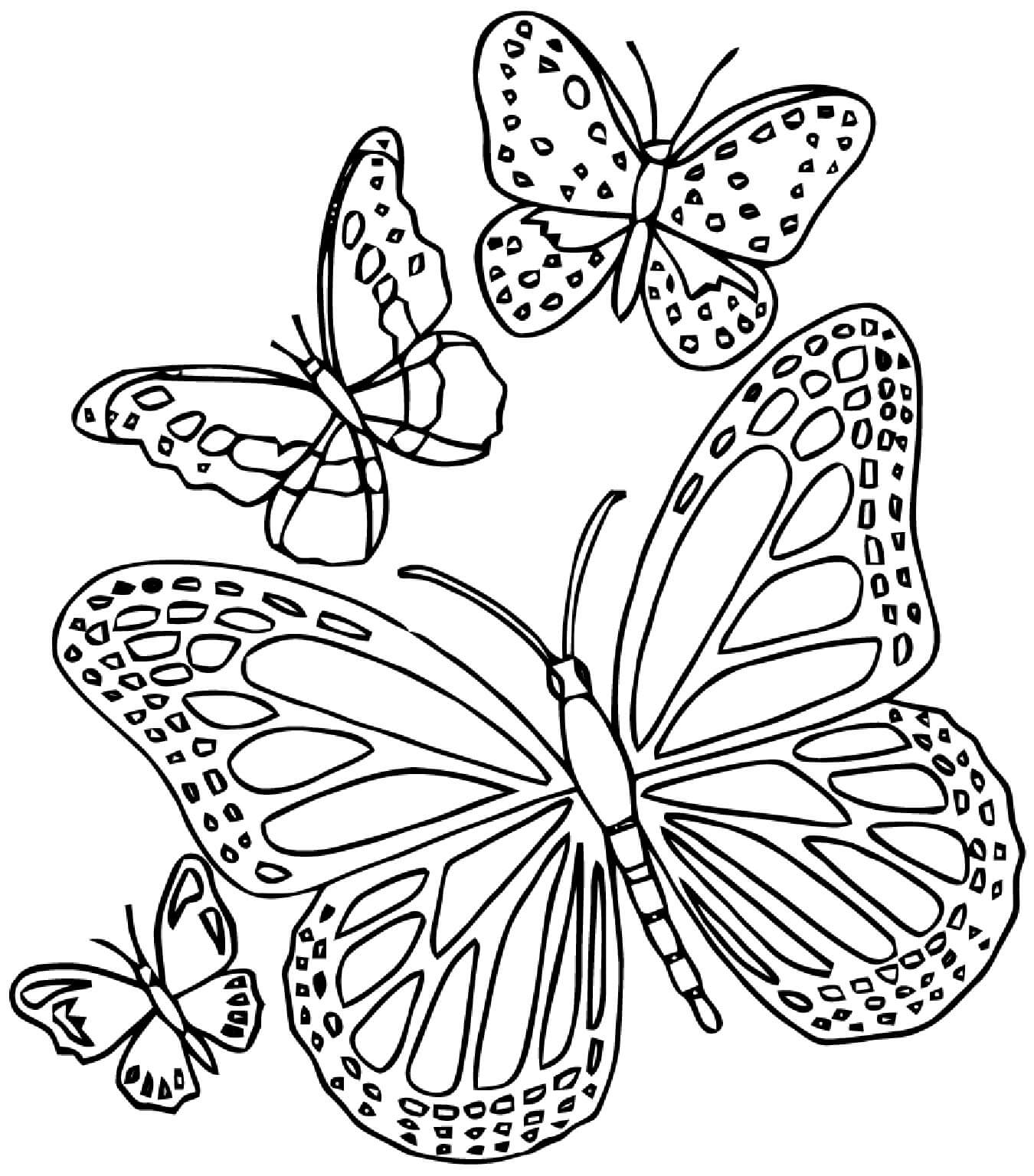 The butterflies mandala coloring page