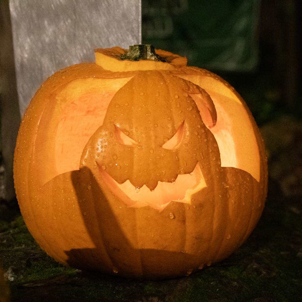 Pumpkin carving ideas