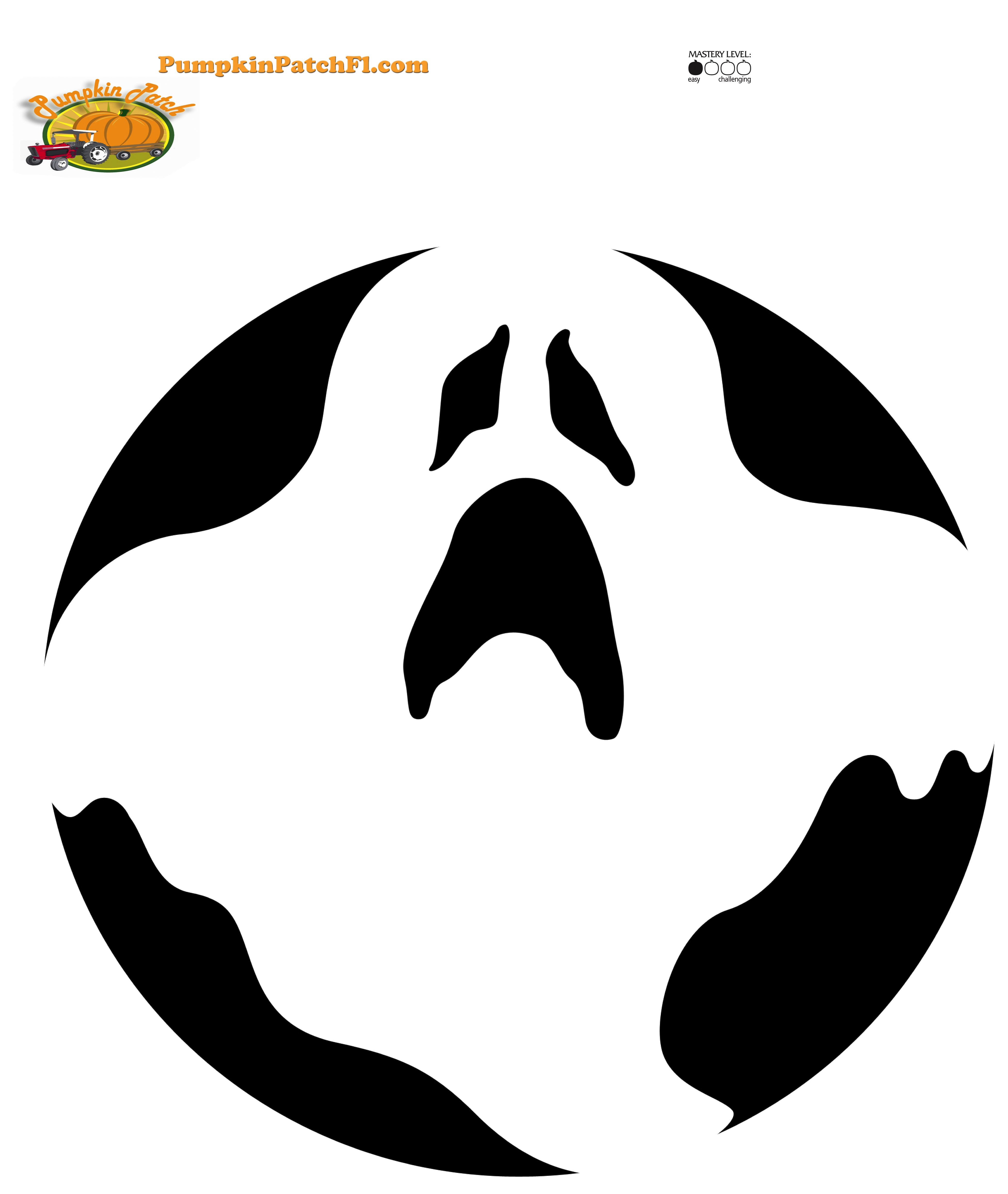 Pumpkin carving â the pumpkin patch miami florida