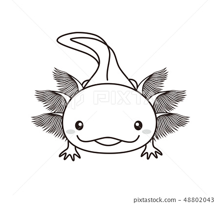 Wooper rolled whole body axolotl coloring