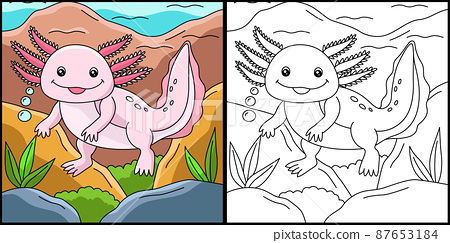 Axolotl coloring page colored illustration
