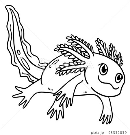 Axolotl isolated coloring page for kids