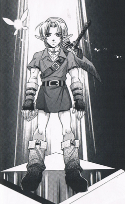The legend of ocarina of time himekawa