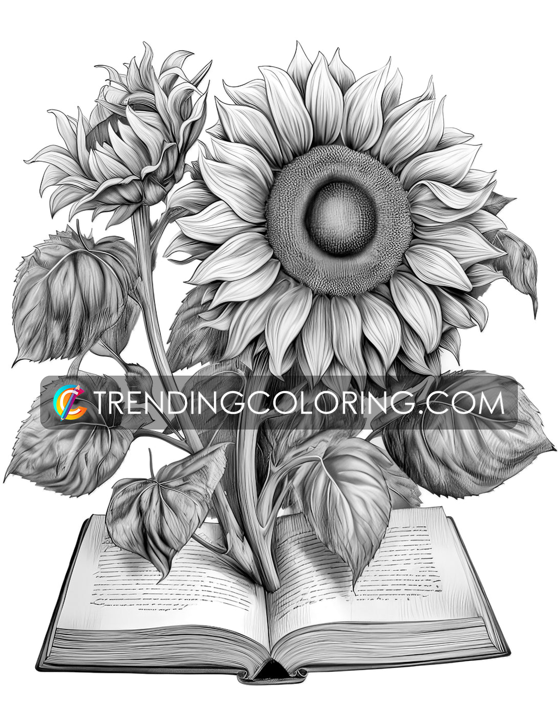Open book flowers grayscale coloring pages