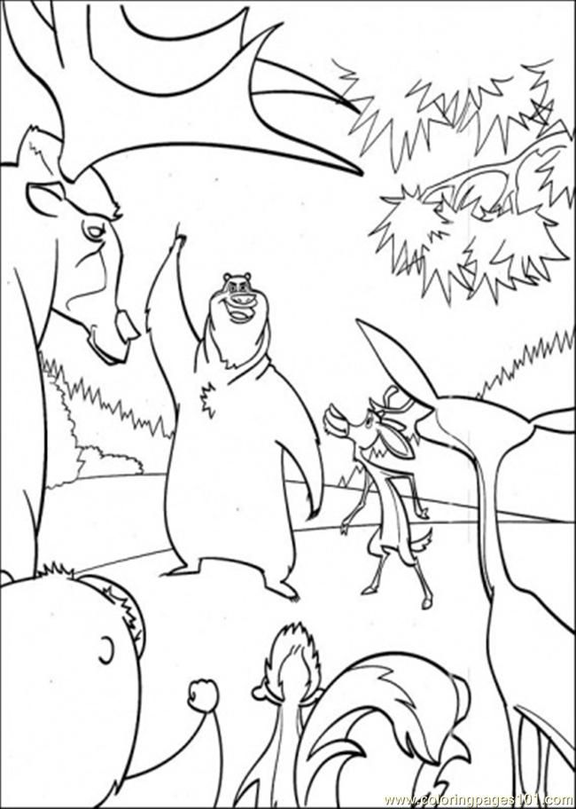 Forest animals coloring pages