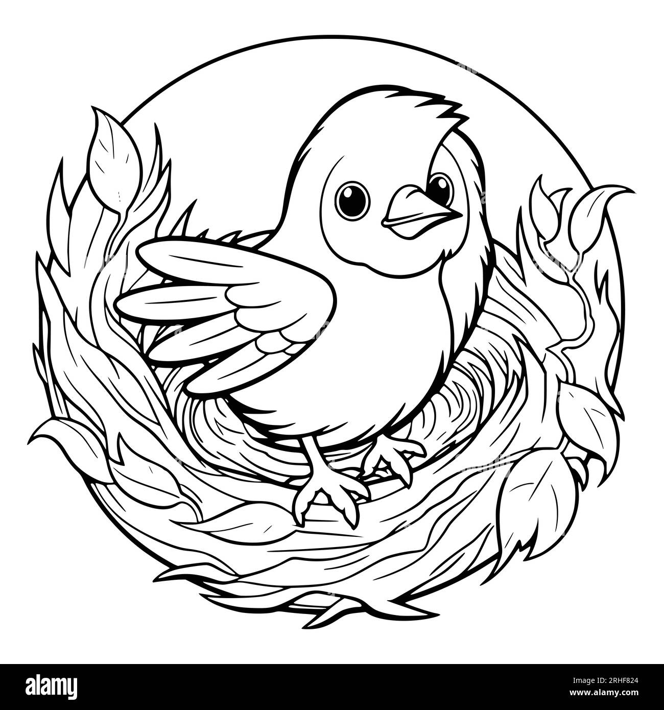 Opila bird coloring page hi