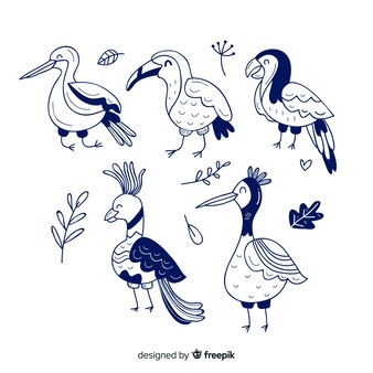 Page opila bird coloring page images