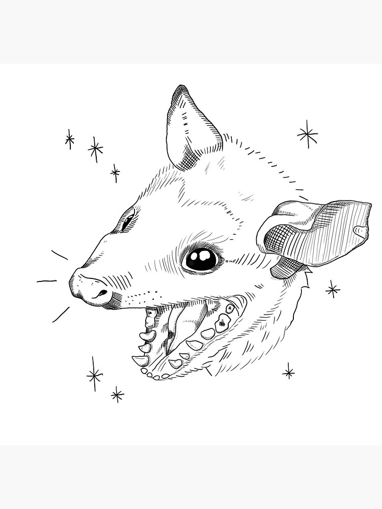 Opossum scream greeting card for sale by honey