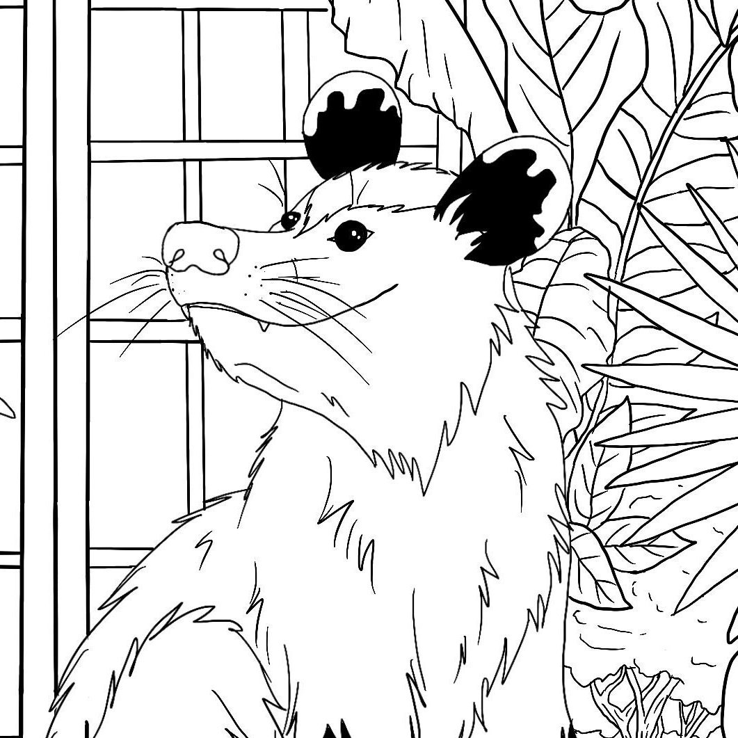 Tropical coloring page with orang oetan and sloth