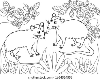 Possum family children coloring black lines ññððºðððñ ððµðºñðñððñ ðñðñððºð ððµð