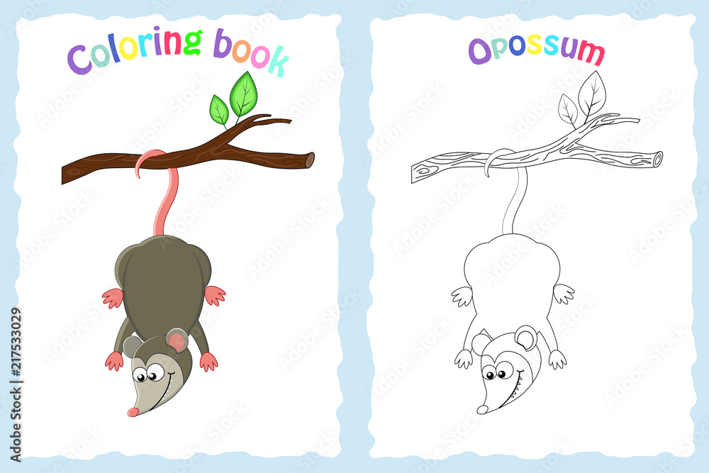 Coloring book page for preschool children with colorful opossum vector