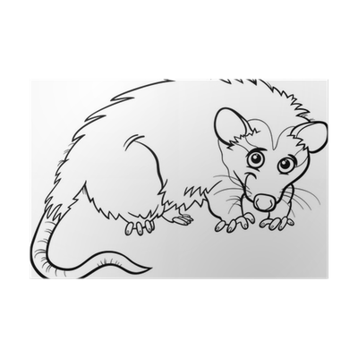 Poster opossum animal cartoon coloring book