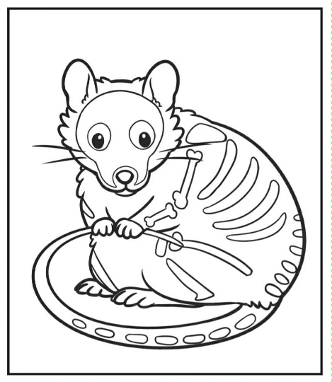 Halloween coloring book â the pipsqueakery