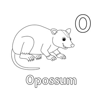 Premium vector opossum alphabet abc isolated coloring page o