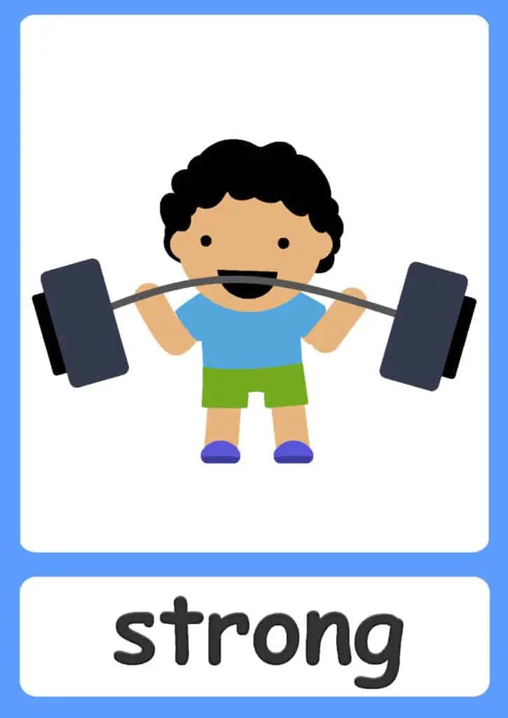Opposites flashcards