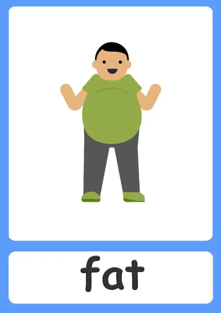 Opposites flashcards