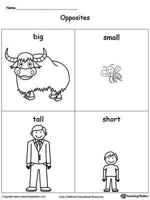 Free opposites flashcards big small tall short preschool worksheets kindergarten worksheets opposites worksheet