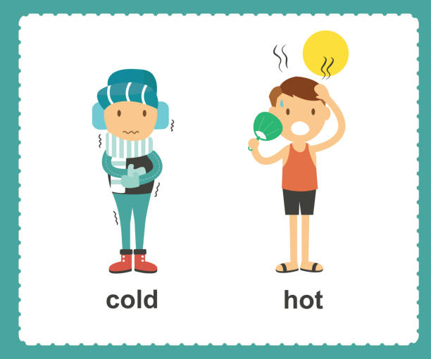 Adult flash cards stock illustrations royalty