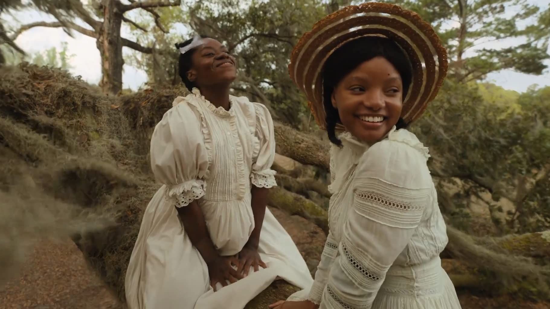 Oprahs the color purple musical film cast news premiere date