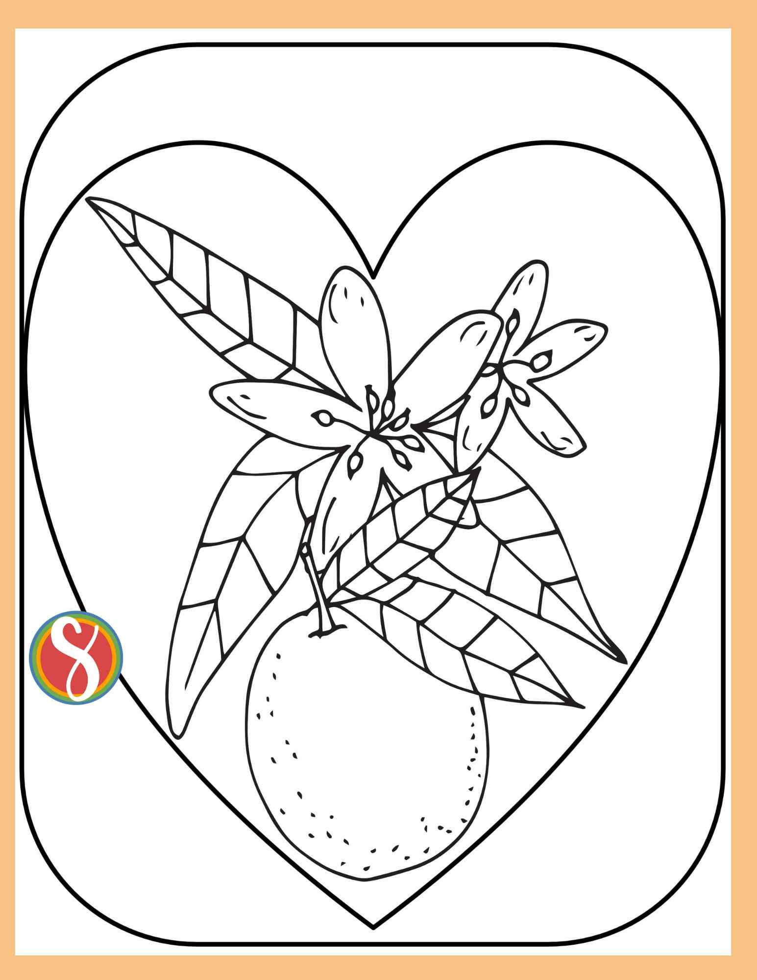 Free orange blossom coloring pages â stevie doodles