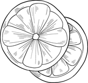 Oranges coloring pages free coloring pages