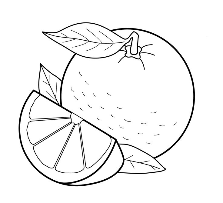 Orange coloring page fruit coloring pages food coloring pages coloring pages