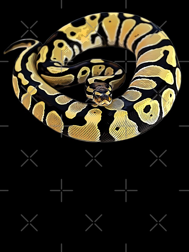 Ball python snake
