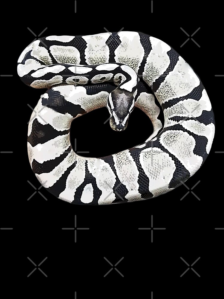Ball python desert ghost axanthic kids t