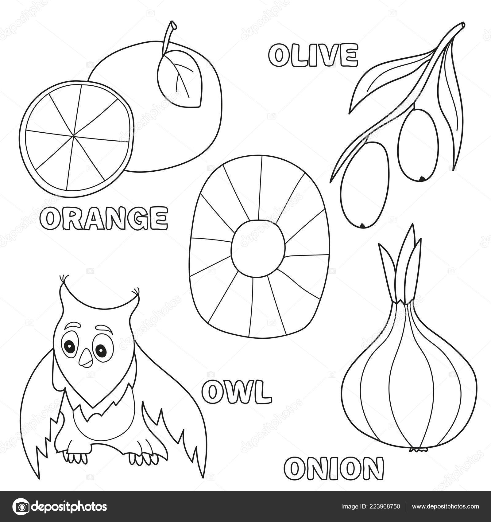 Kids alphabet coloring book page with outlined clip arts letter o stock vector by brill