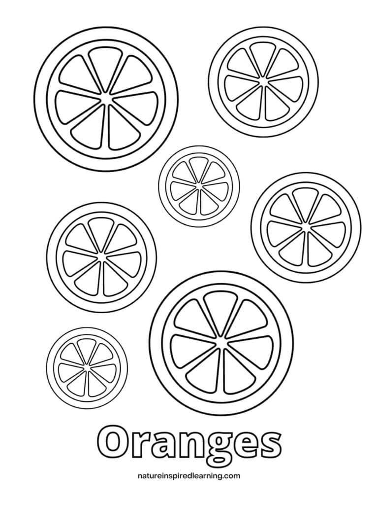 Orange coloring pages and templates