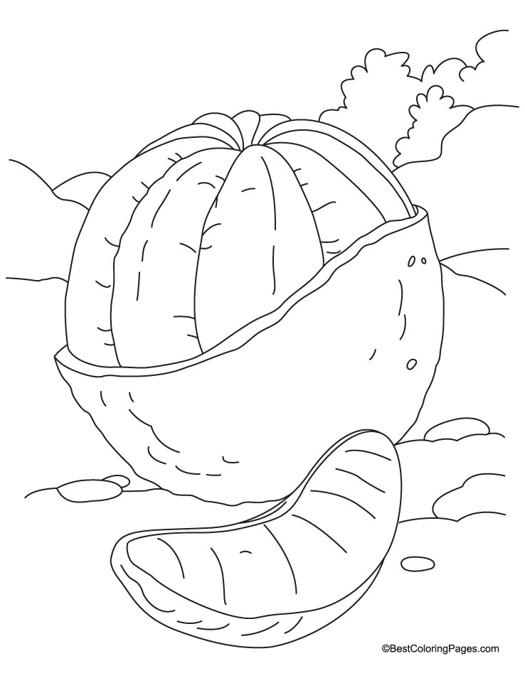 Peeled ornage and slice coloring page download free peeled ornage and slice coloring page for kids best coloring pages