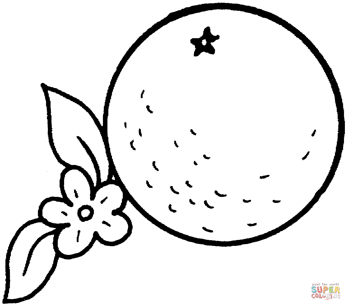 Orange coloring page free printable coloring pages