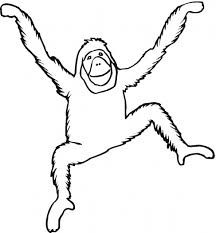 Image result for orangutan craft template orangutan endangered animals activities coloring pages