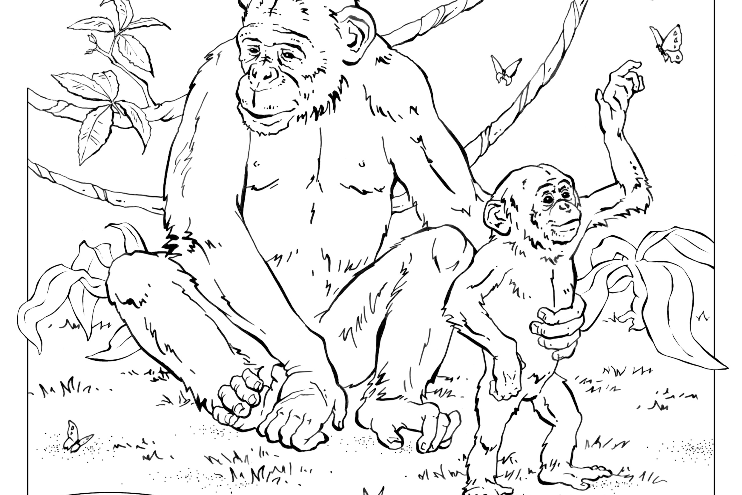 Coloring book animals a to i