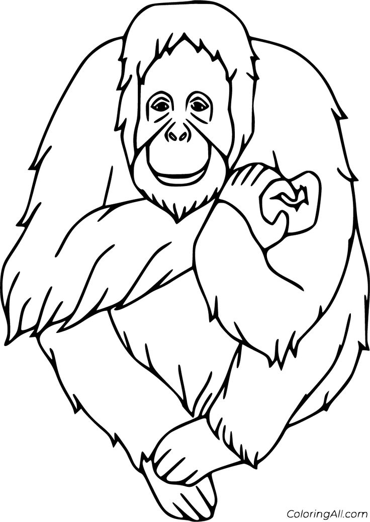 Free printable orangutan coloring pages easy to print from any device and automatically fit any paper size orangutan coloring pages color
