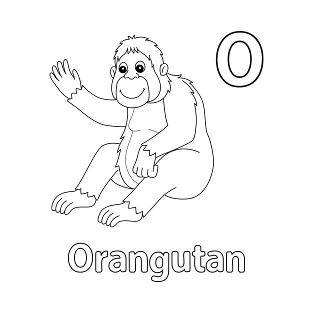 Premium vector orangutan alphabet abc isolated coloring page o