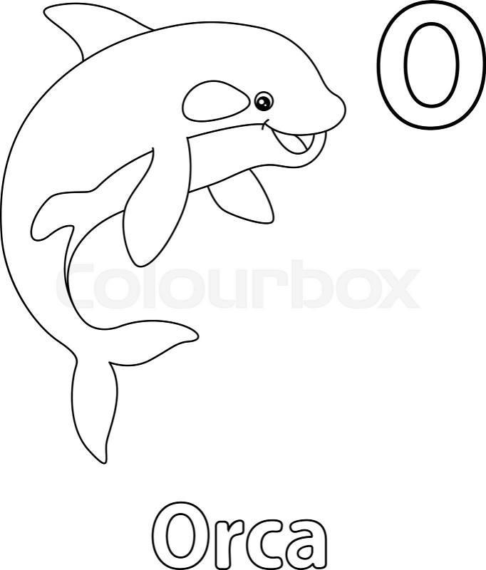 Orca alphabet abc coloring page o stock vector