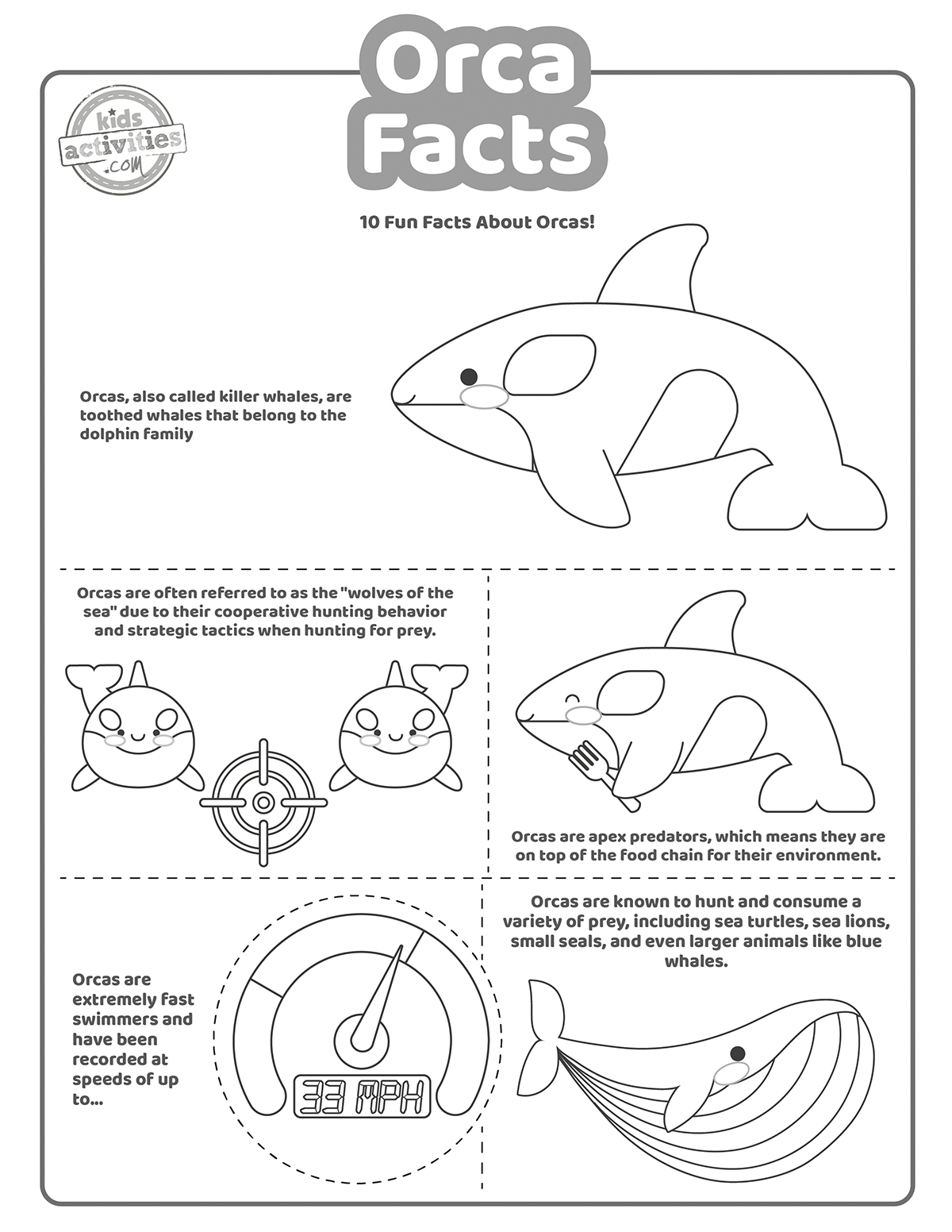 Cool orca facts kids activities blog