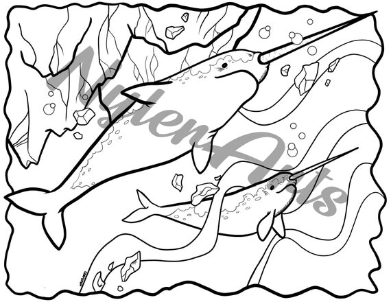 Printable coloring pages whales x orca begula narwhal humpback just download and print