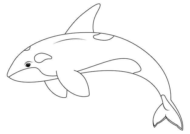 Premium vector black and white orca cartoon character vector coloring page of cartoon orca