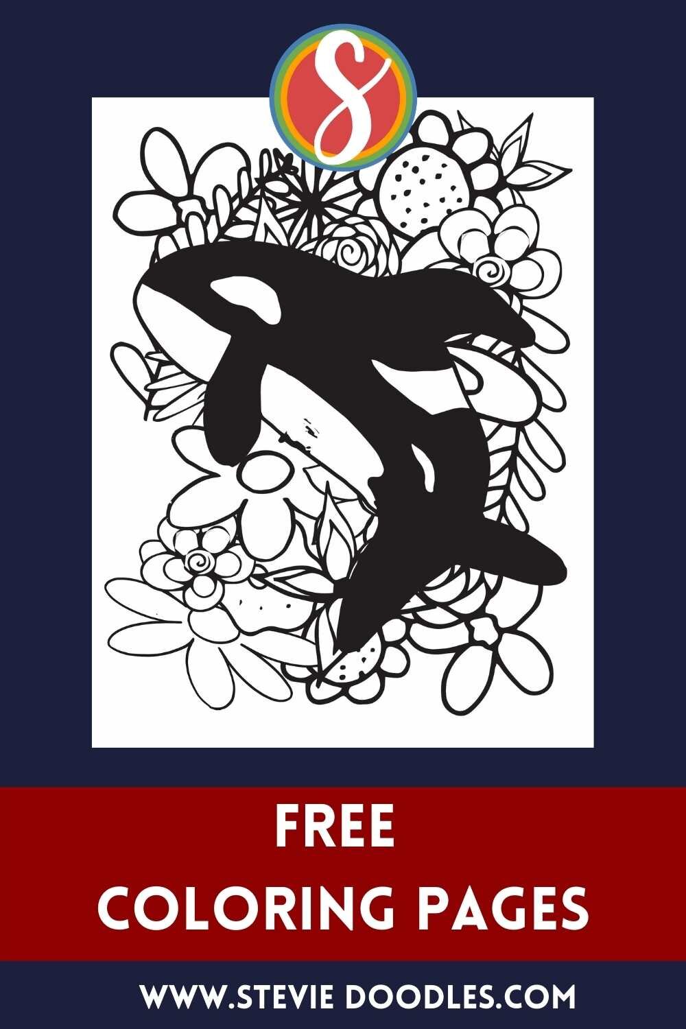 Free orca coloring pages â stevie doodles
