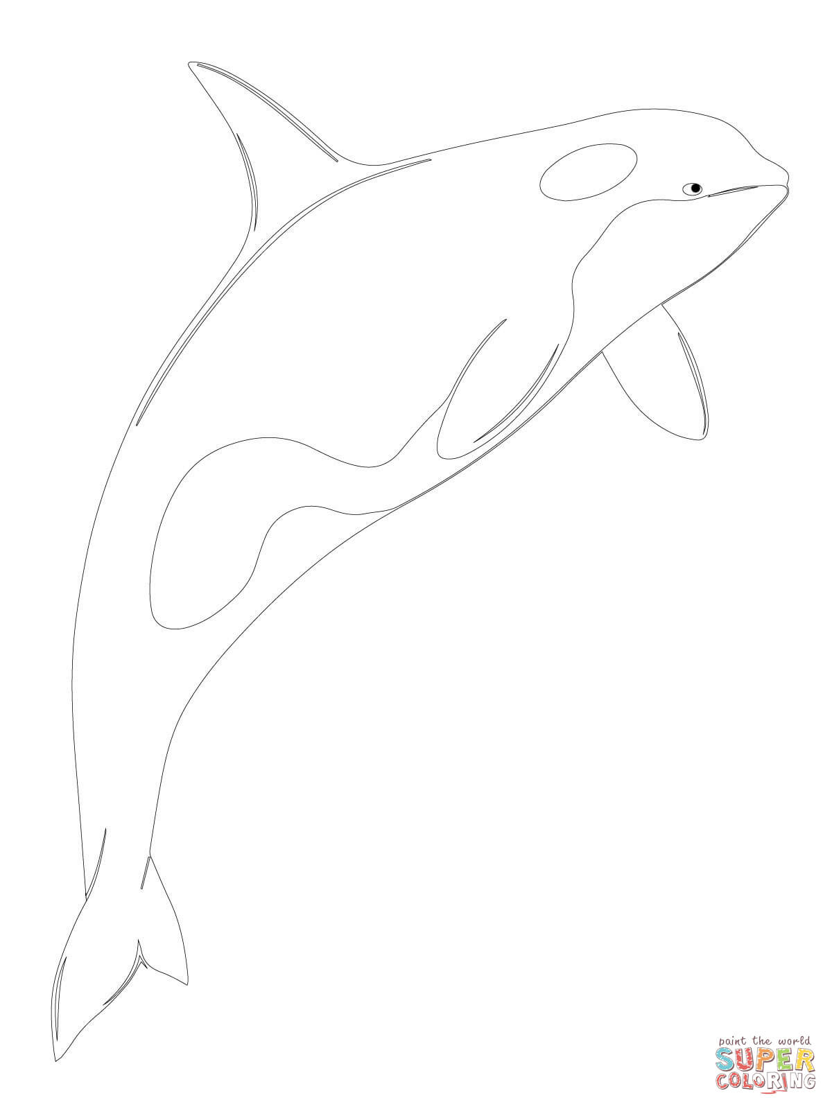 Orca whale shamu coloring page free printable coloring pages