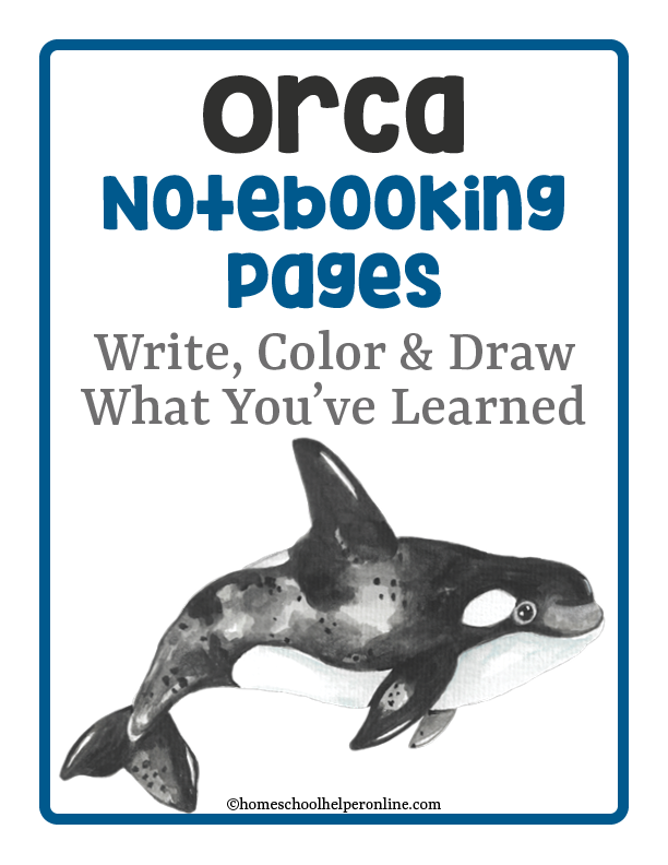Orca notebooking pages for elementary middle school students