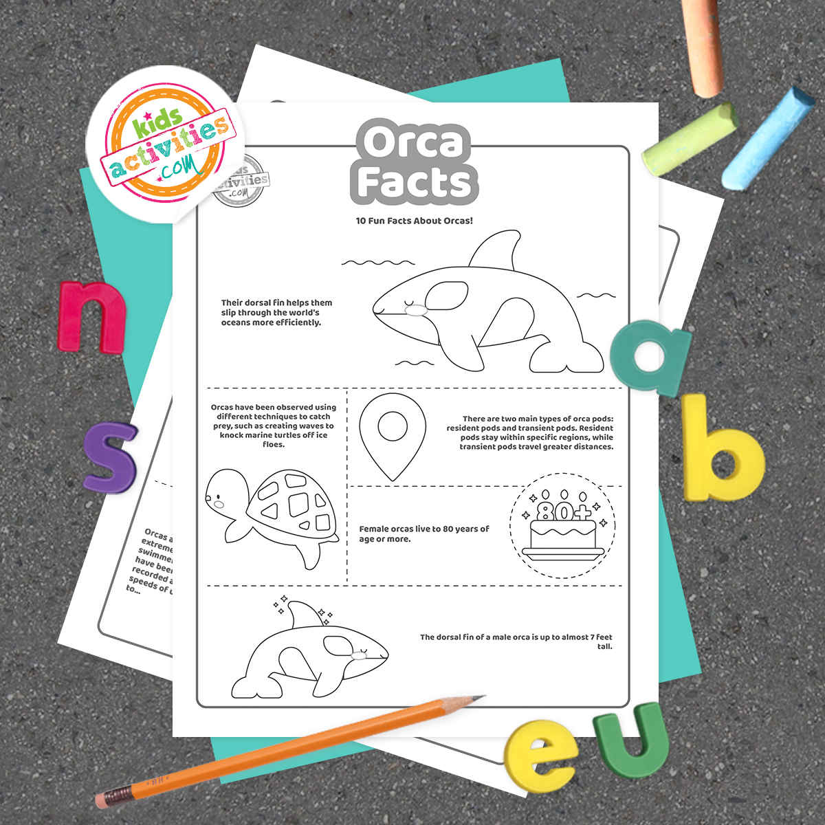Cool orca facts kids activities blog