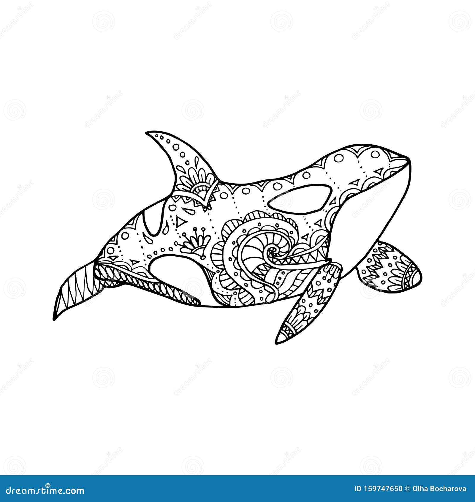 Killer whale coloring page stock illustrations â killer whale coloring page stock illustrations vectors clipart