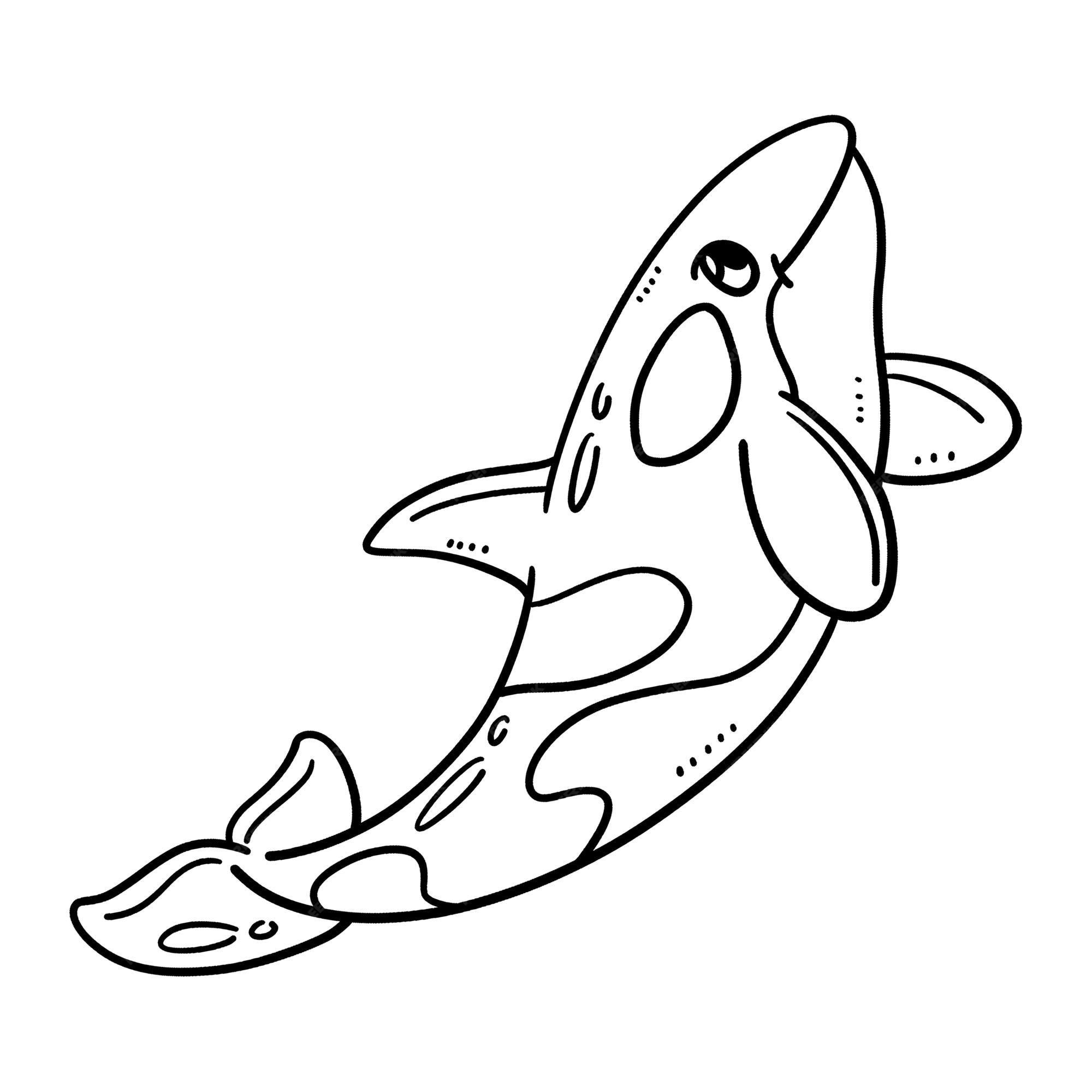 Premium vector mother killer whale isolated coloring page