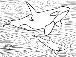 Orca colouring sheet â lisa joan art