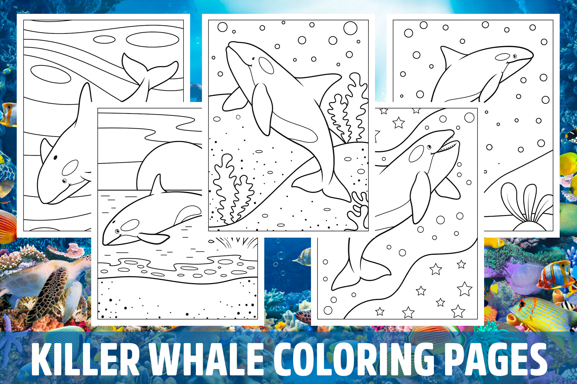 Killer whale coloring pages for kids girls boys teens birthday school activity made by teachers