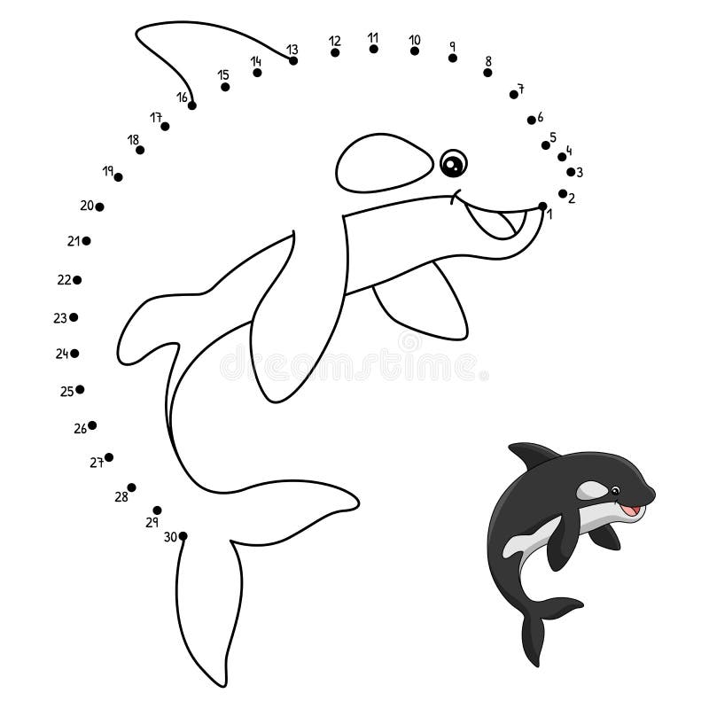 Killer whale coloring page for kids stock vector